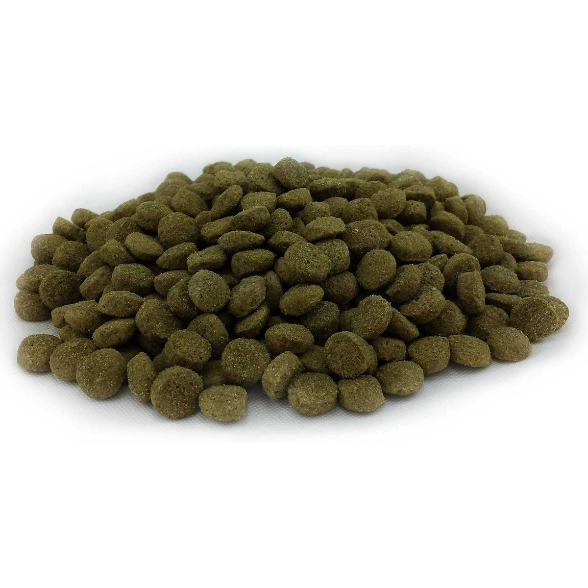 Dry Dog Food B478943