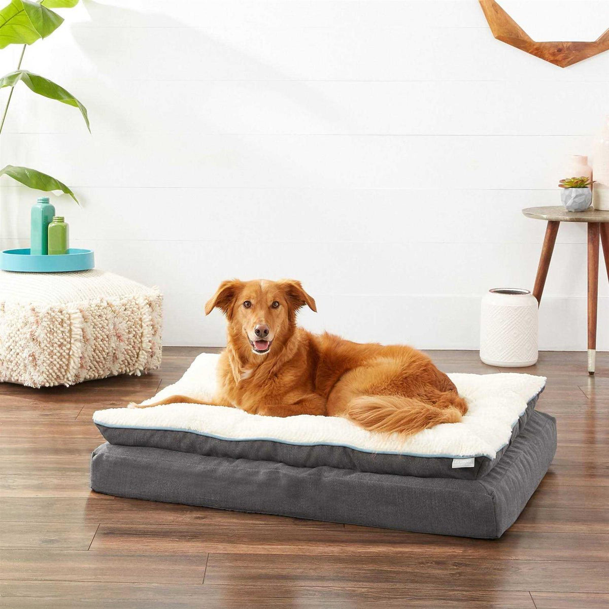 Plush Orthopedic Pillowtop Dog Bed with Removable Cover D3803