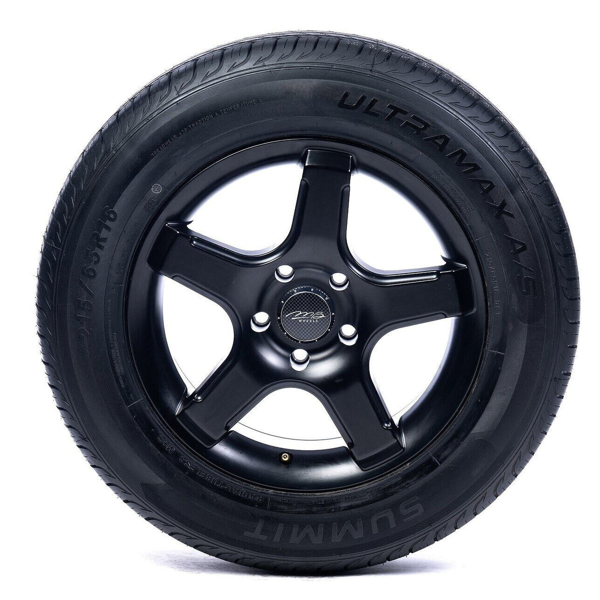 225/65R16 100H All-Season Tire B2917