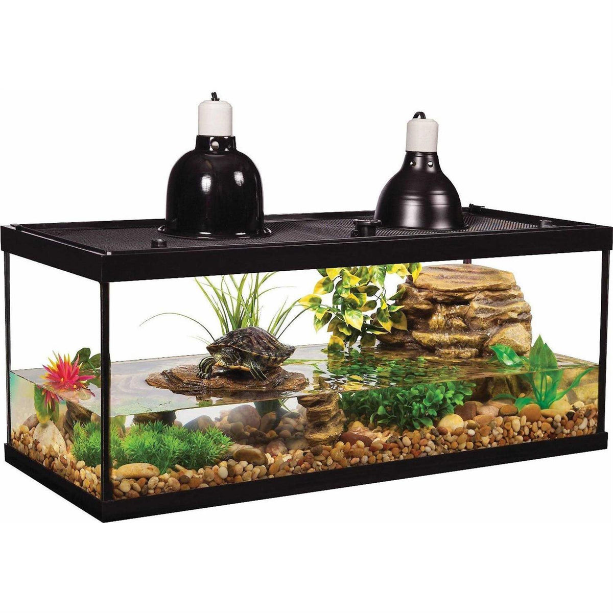 20 Gallon Aquarium With Filter And Heating Lamps E269923