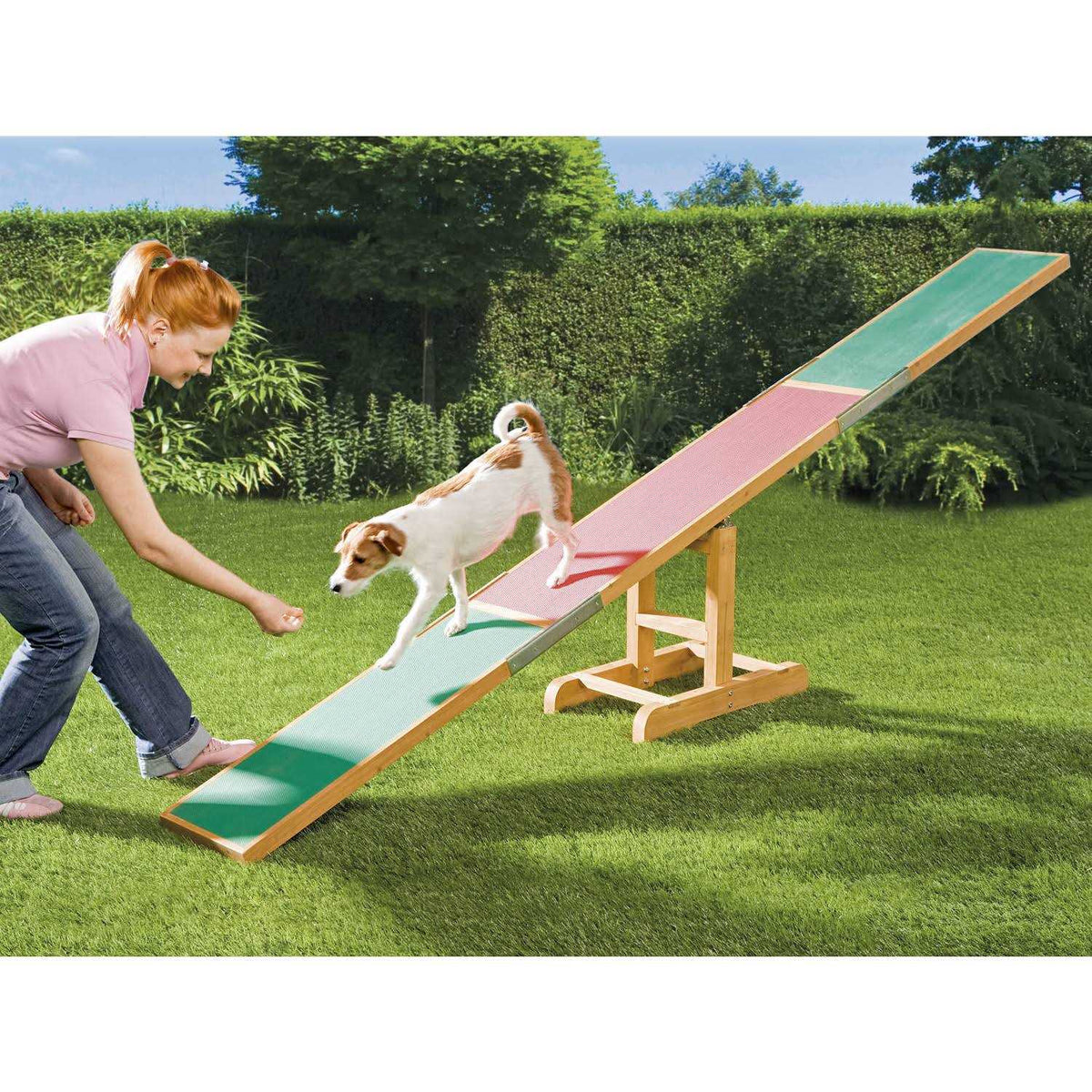 Dog Training Seesaw B23466