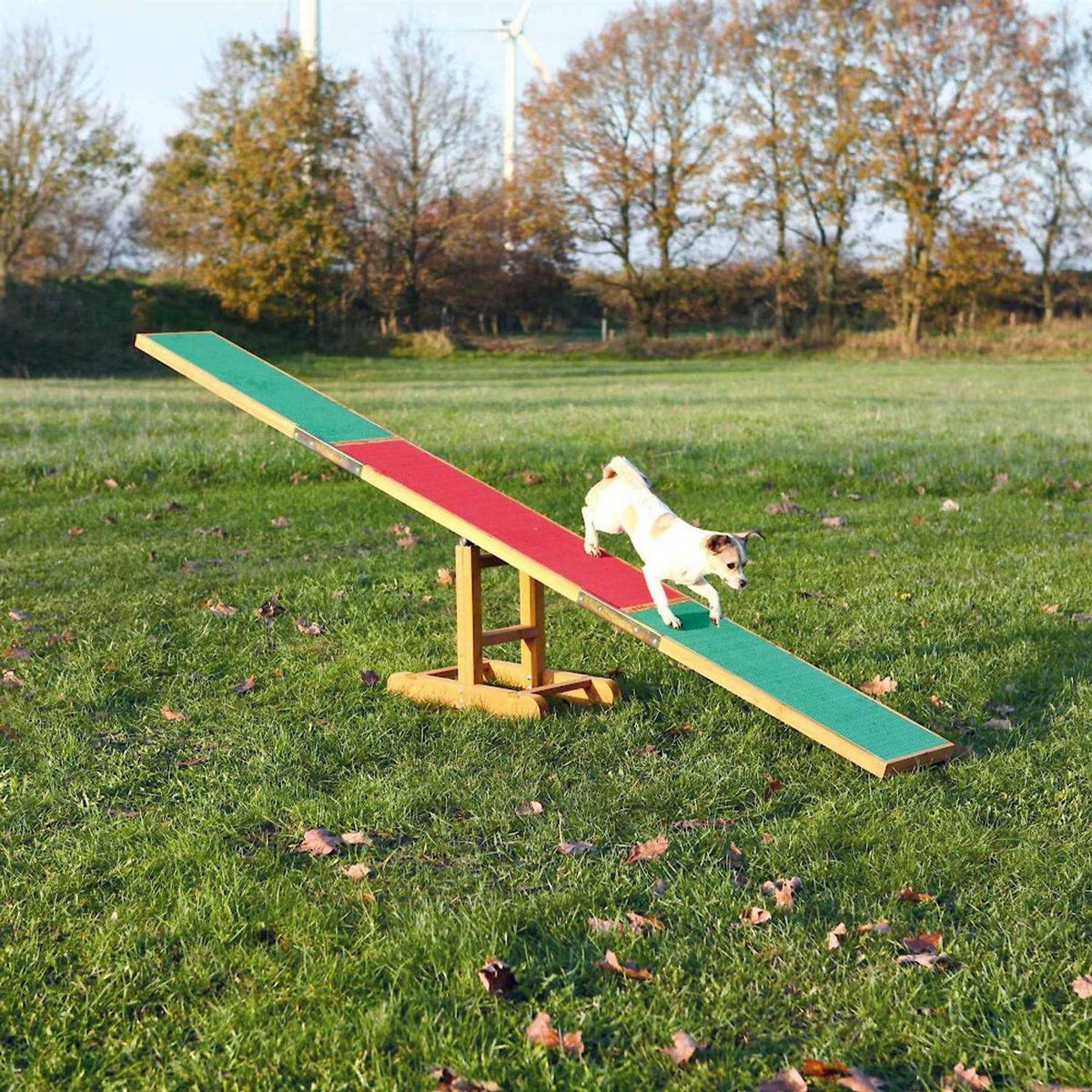 Dog Training Seesaw B23466