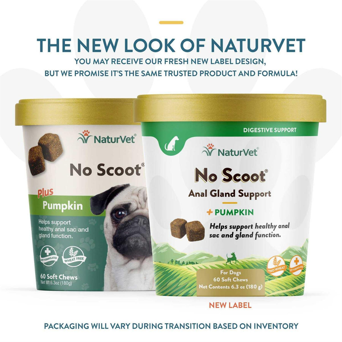 Pumpkin Soft Chew S282487