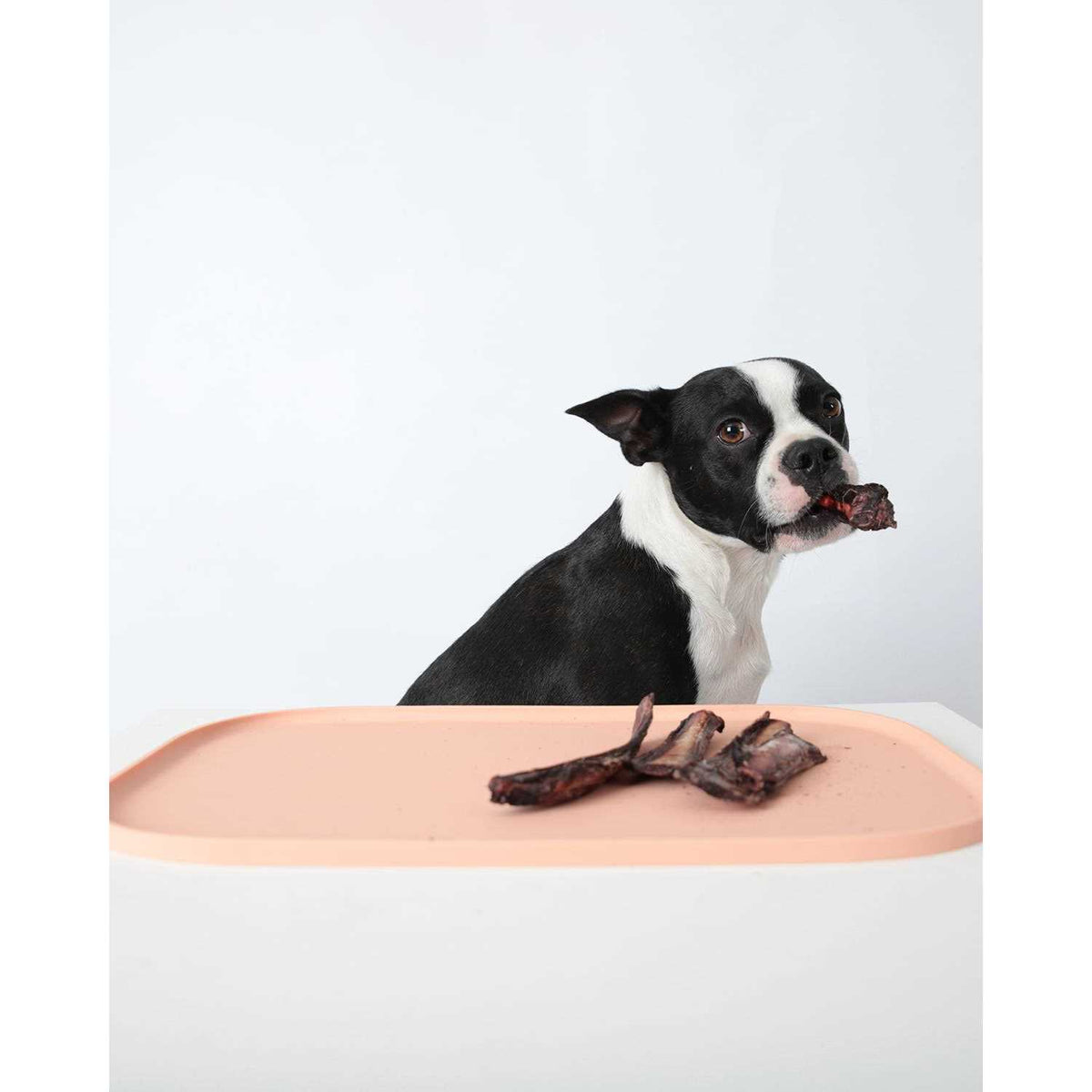 Pet Mat K31141