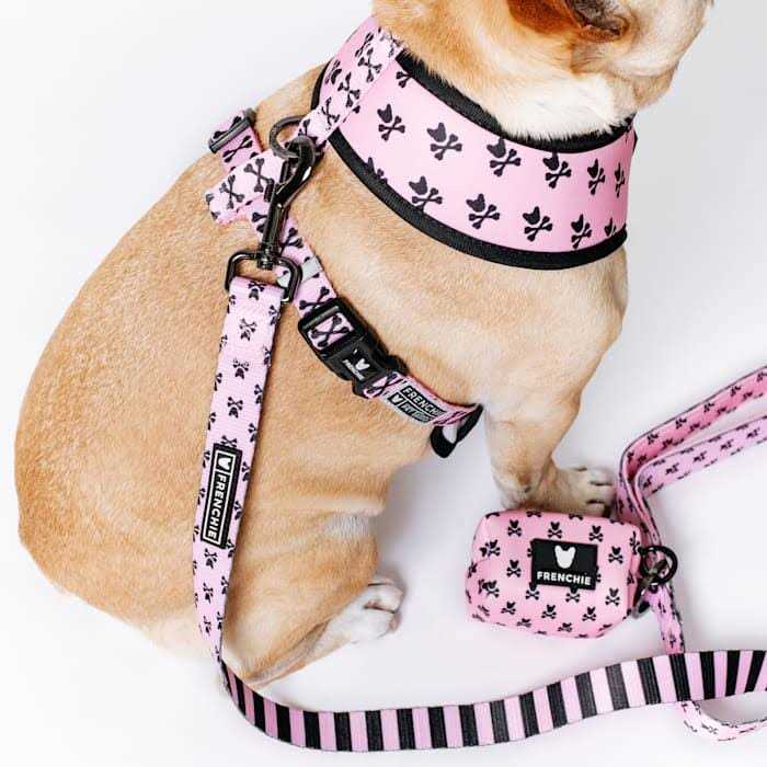 Reversible Harness S832