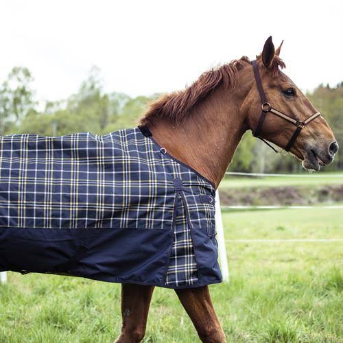 1200D Lightweight Turnout Sheet - 100g S51059