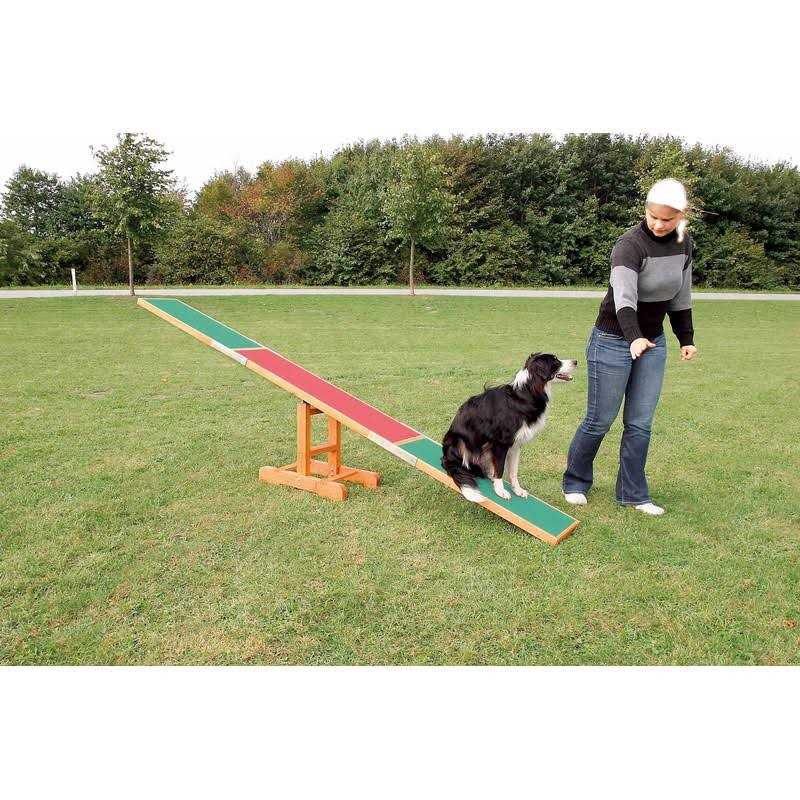 Dog Training Seesaw B23466