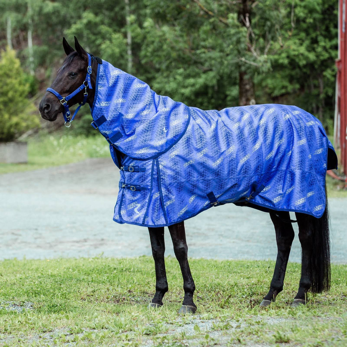 1200D Lightweight Turnout Sheet - 100g S51059