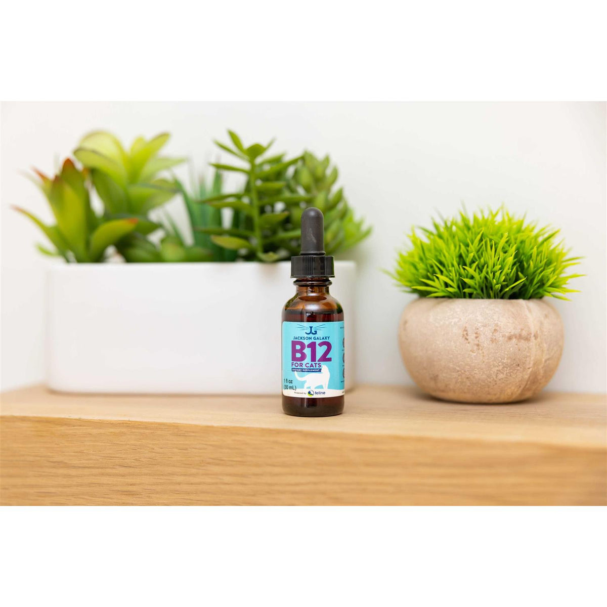 B12 for Cats Dietary Supplement X165