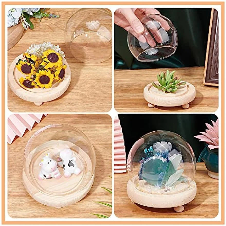 2 Sets Round Glass Display Dome with Wood Base V117854