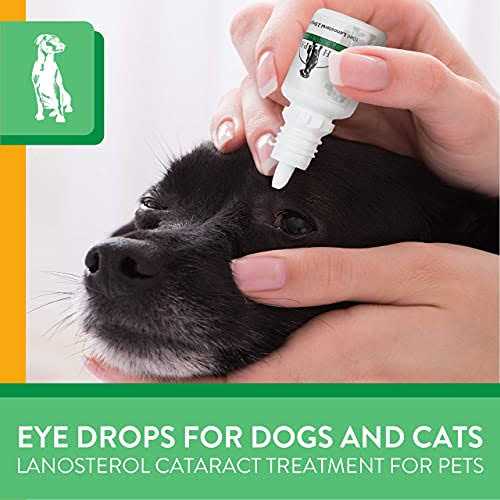 Advanced Lanosterol Solution + NAC Pet Supplies K144630