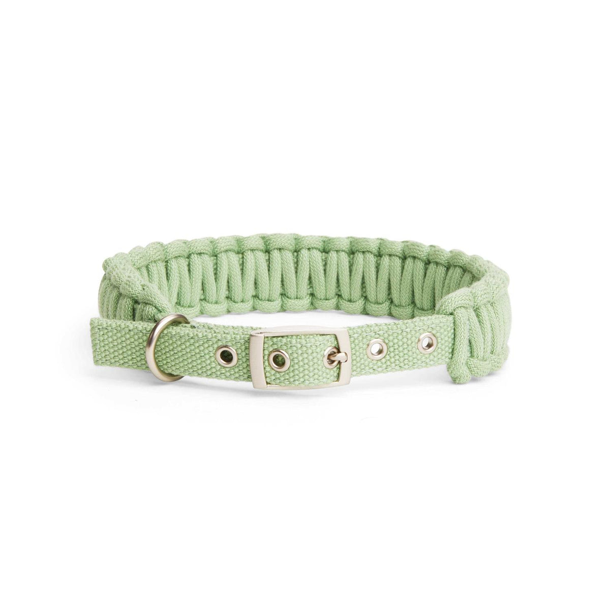 Macrame Dog Collar I237