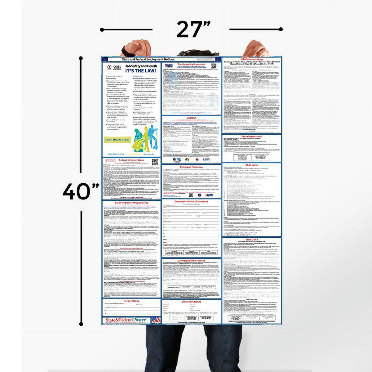 2024 Connecticut State and Federal Labor Law Poster T369263
