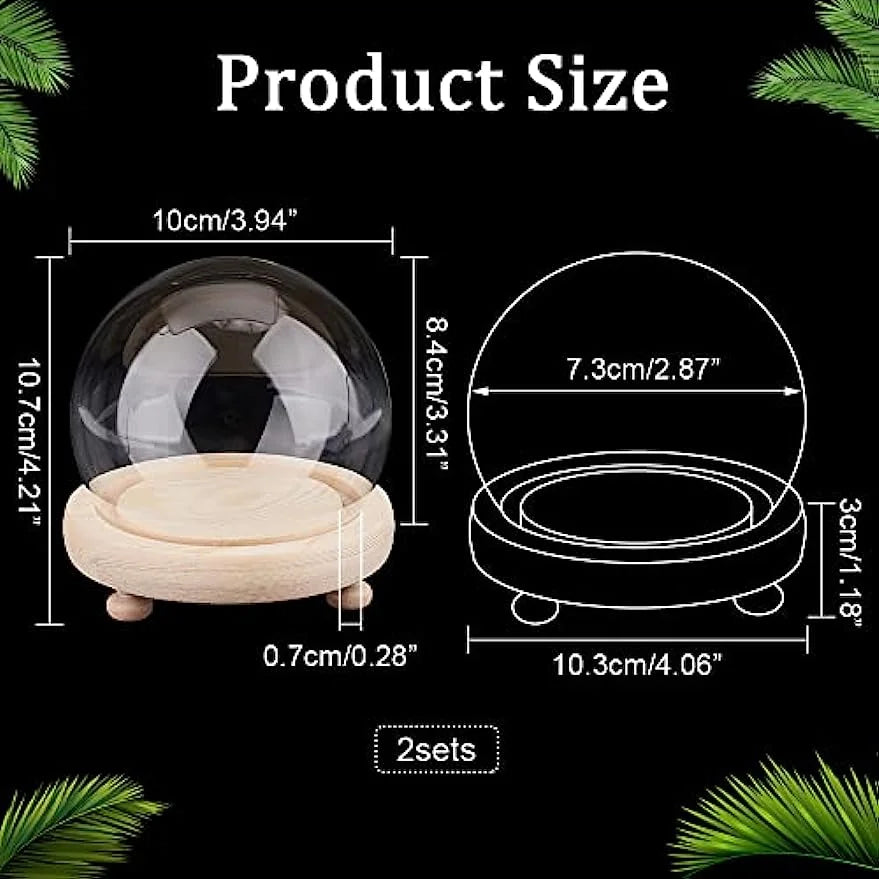 2 Sets Round Glass Display Dome with Wood Base V117854