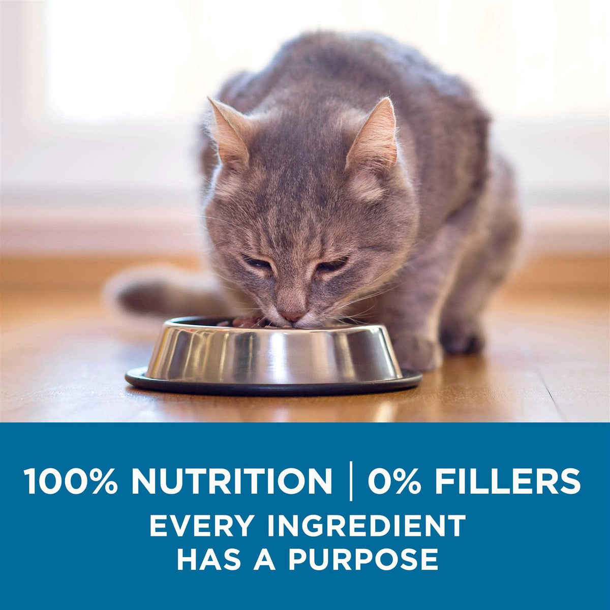 High Protein Natural Senior Dry Cat Food O2811