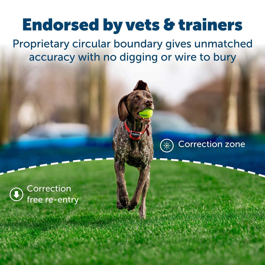 Wireless Fence for Dogs D781