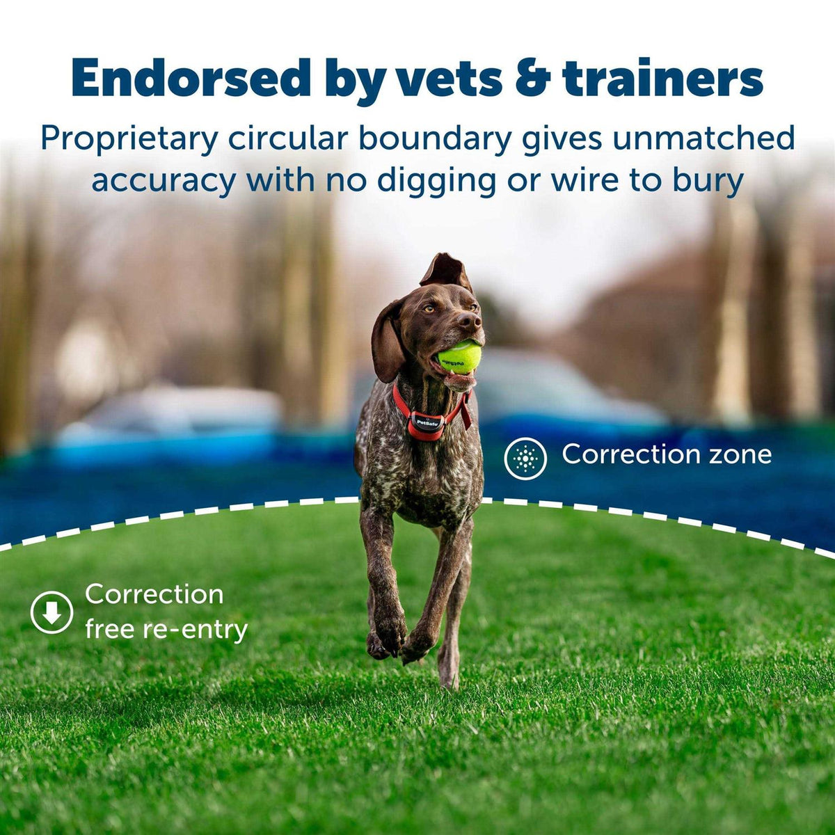 Wireless Fence for Dogs D781