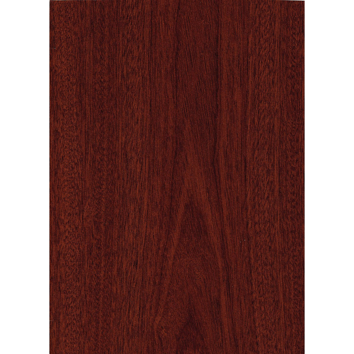 5 Shelf Bookcase with Doors T741