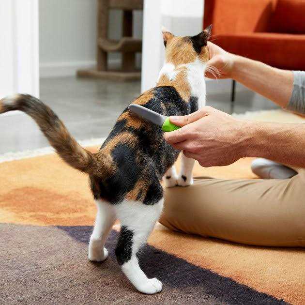Flea Comb for Cats & Dogs E5216