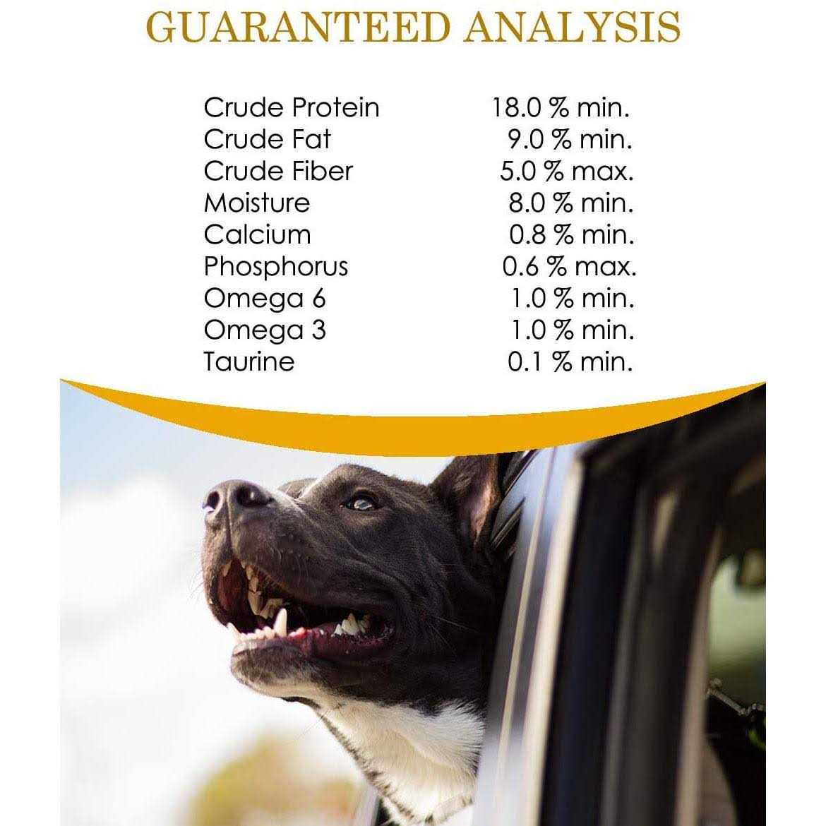 Dry Dog Food B478943