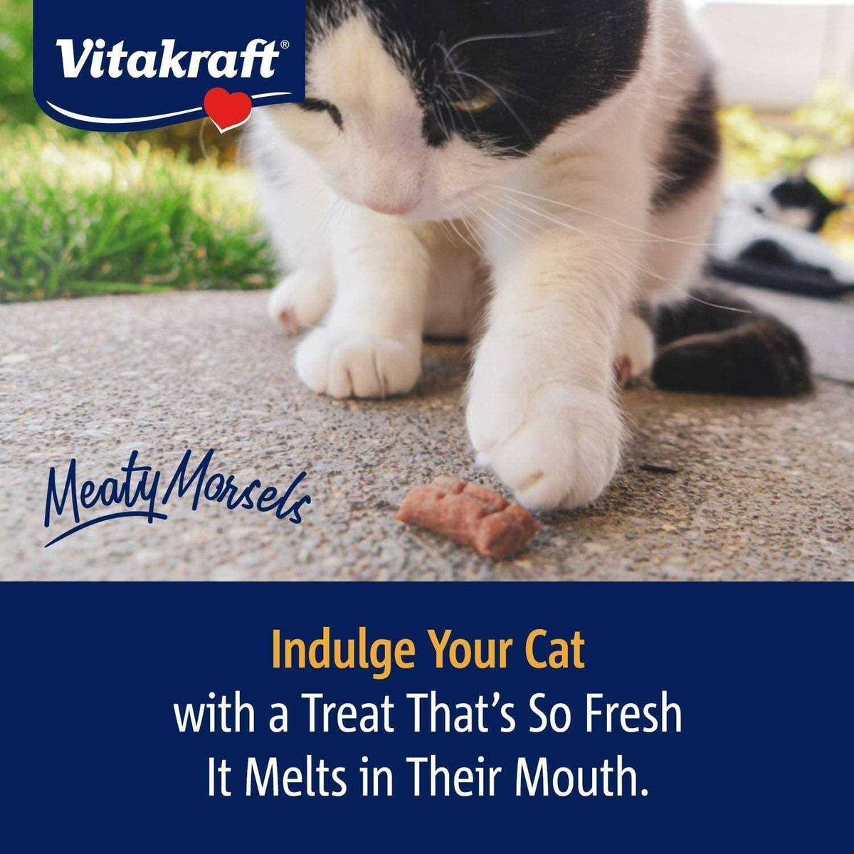 Cat Treat Chicken/Salmon B954