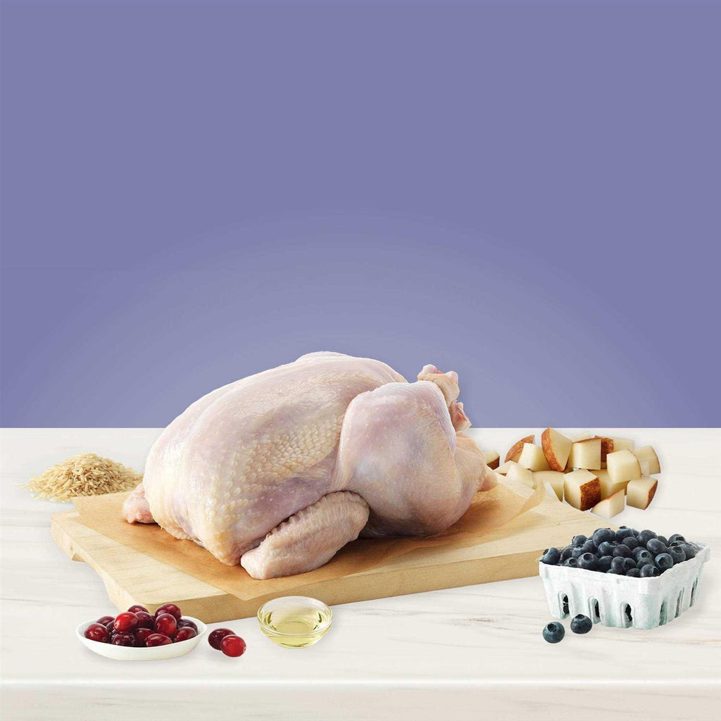 Dog Food G812330