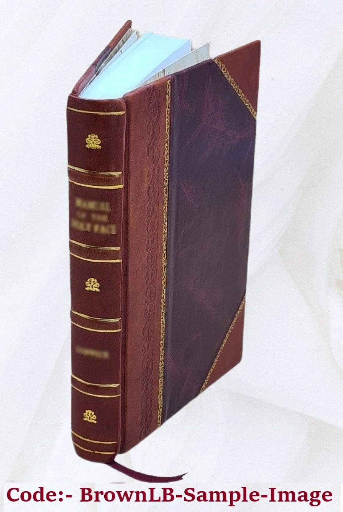 Leather Bound Book K365