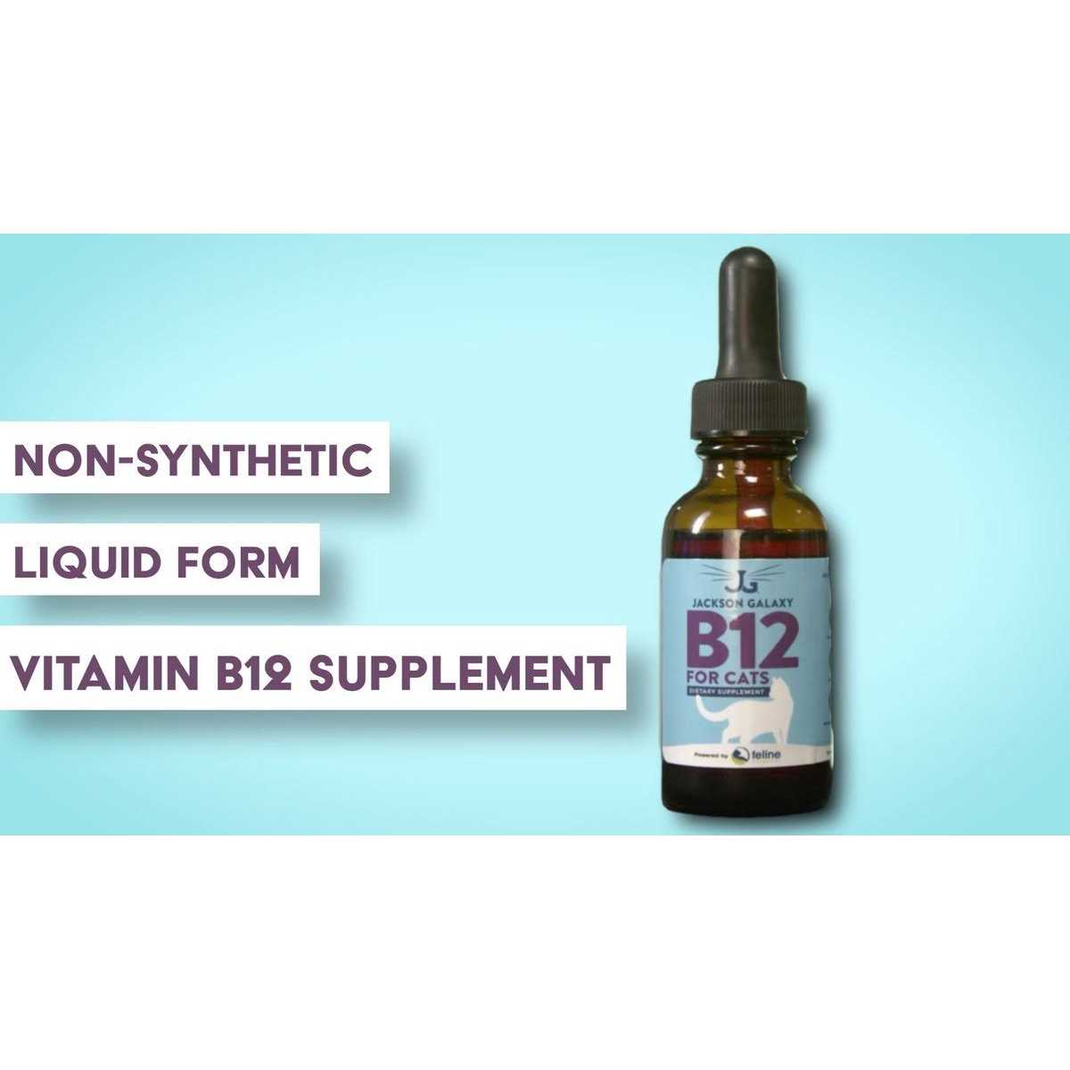 B12 for Cats Dietary Supplement X165