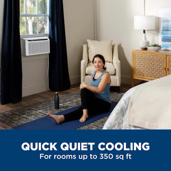 8000 BTU Window Air Conditioner B2043
