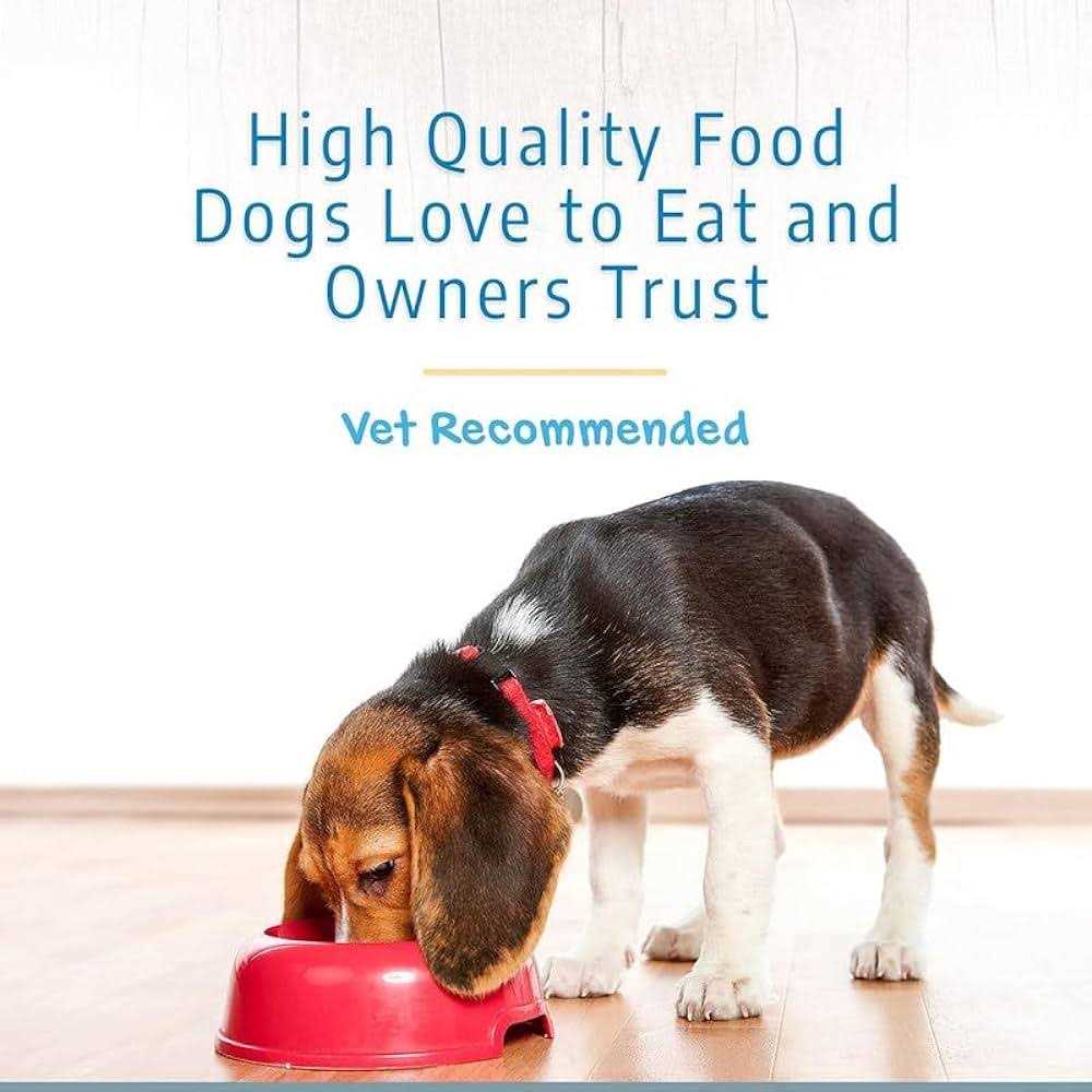 Dry Dog Food B478943