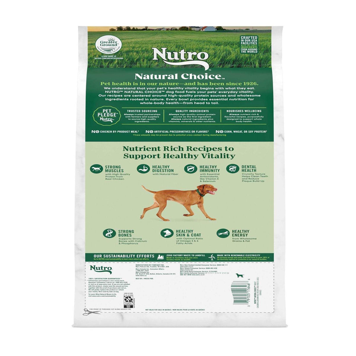 Chicken & Brown Rice Dry Dog Food H508855