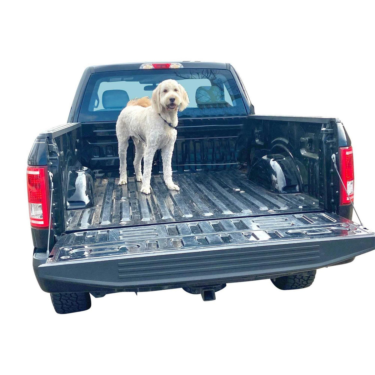 Dog Truck Bed Leash Tether P642
