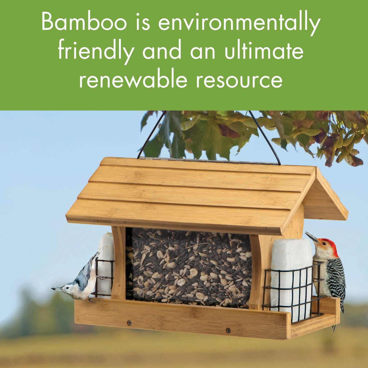 Bamboo Ranch Feeder with Suet Holders Pack of 2 M444298