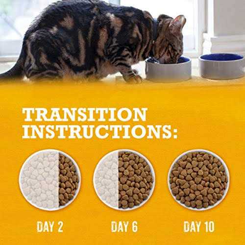Grain Free White Meat Chicken & Egg Recipe Dry Cat Food C73202