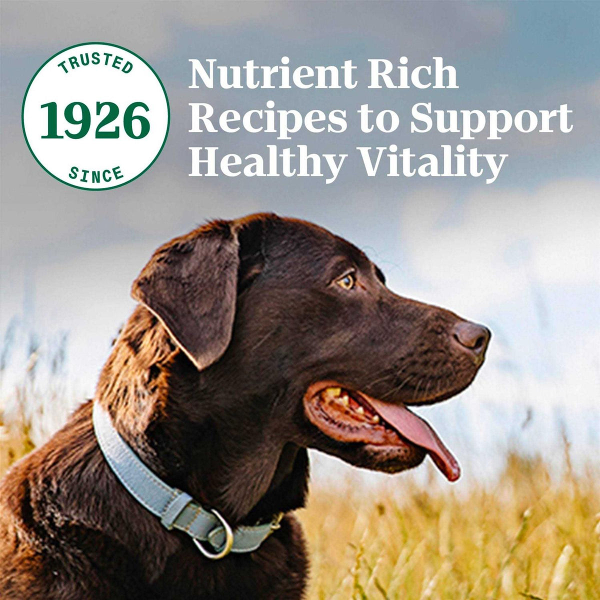 Chicken & Brown Rice Dry Dog Food H508855