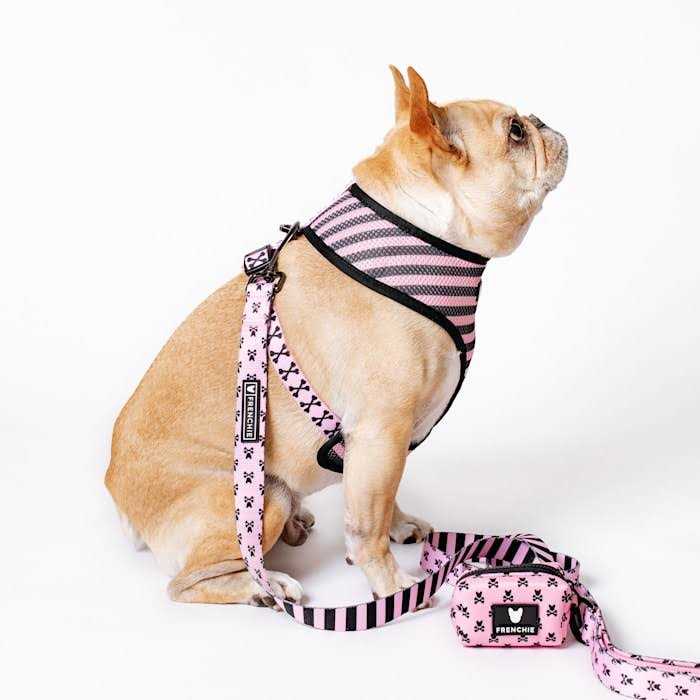 Reversible Harness S832