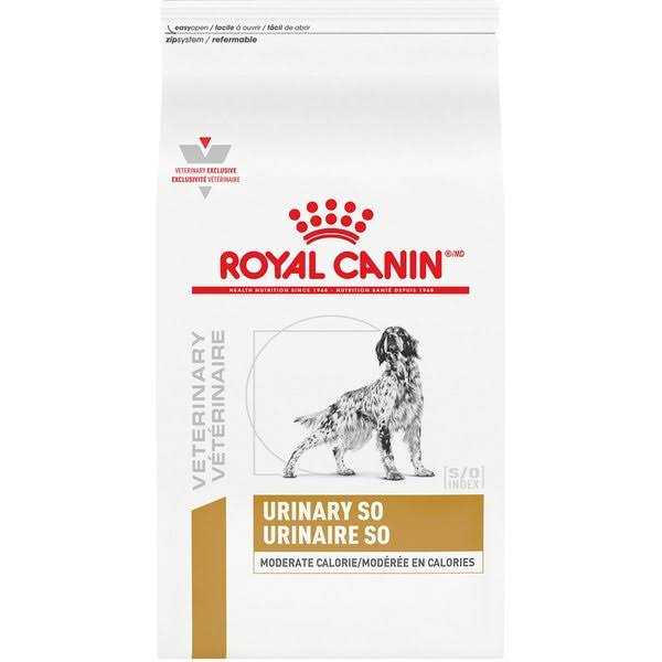 Adult Dry Dog Food H641764