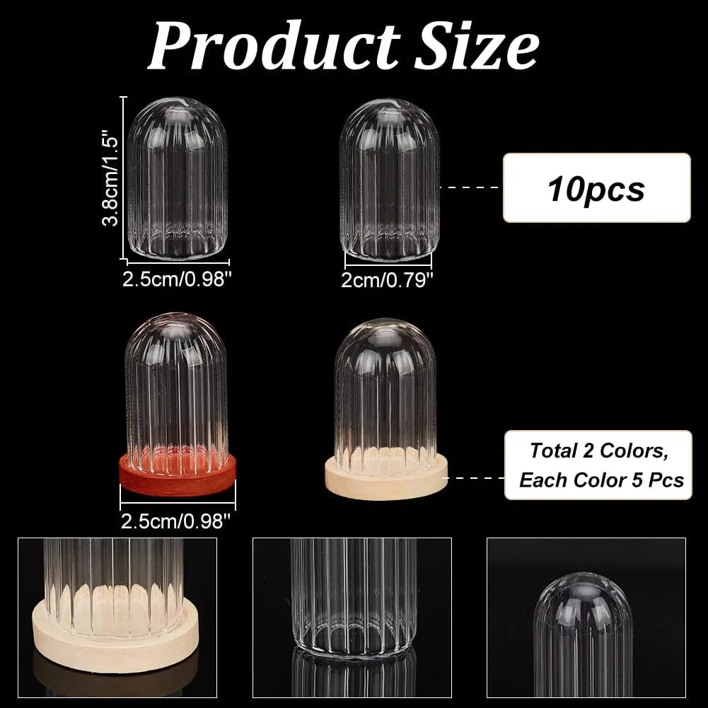 2 Sets Round Glass Display Dome with Wood Base V117854