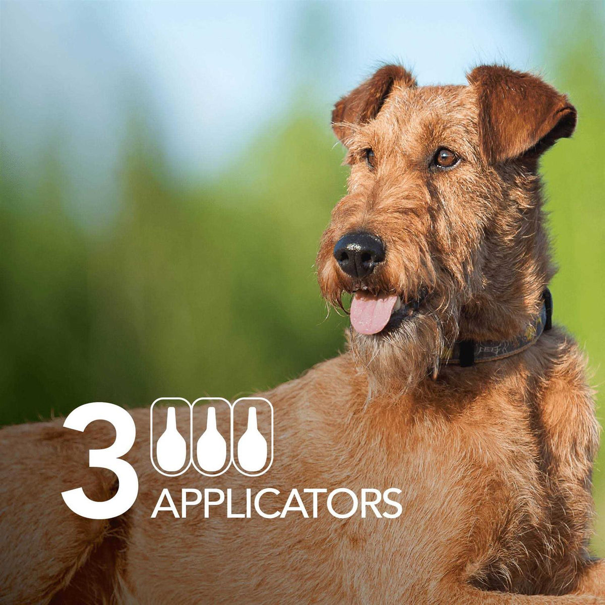 Flea and Tick Prevention Dogs W222555