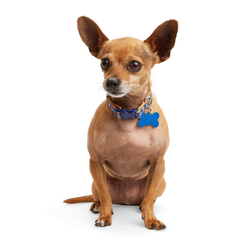 Dog Collar R1360