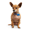 Dog Collar R1360