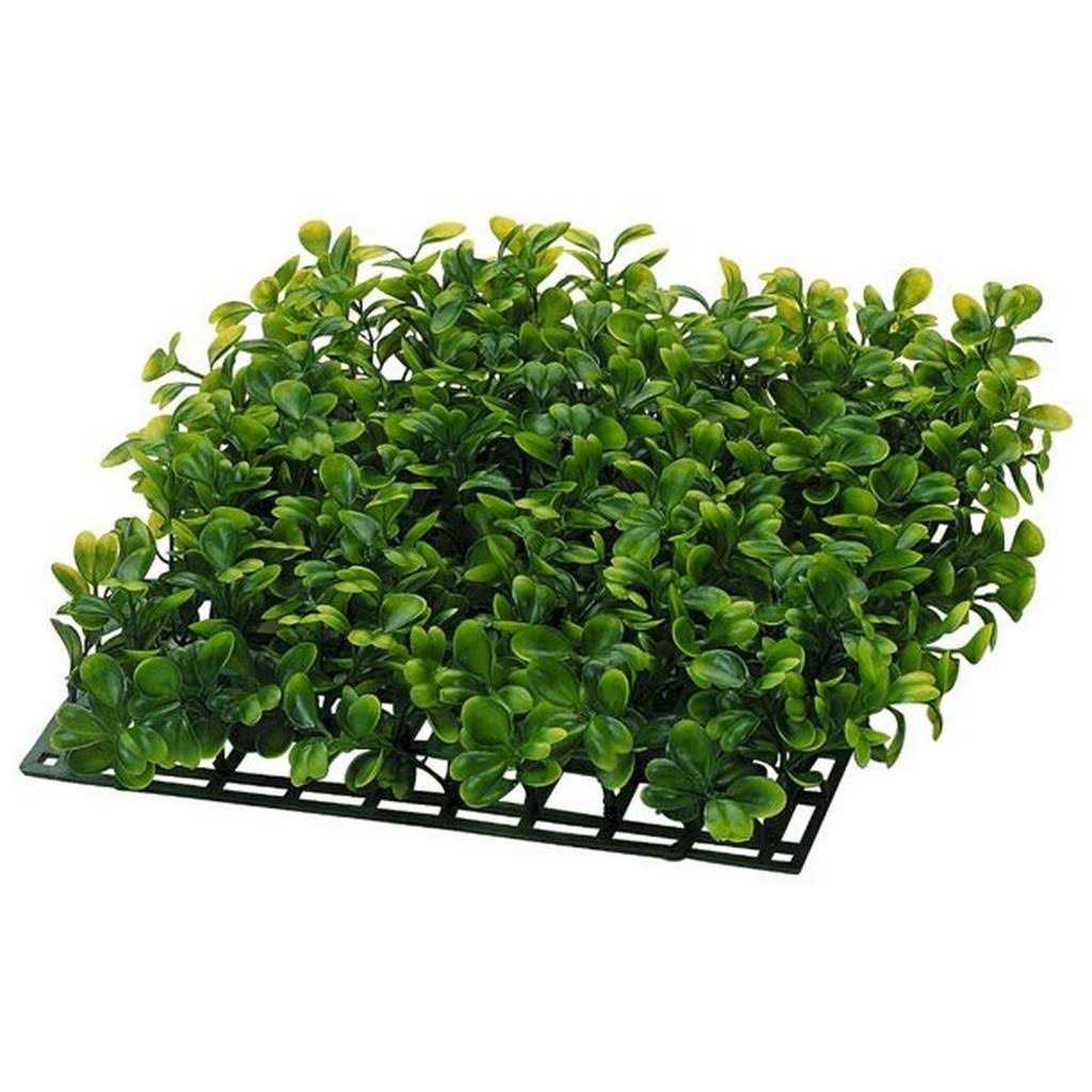 20 Gallon Aquarium With Filter And Heating Lamps E269923