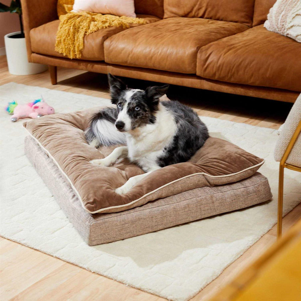 Plush Orthopedic Pillowtop Dog Bed with Removable Cover D3803