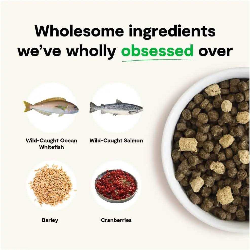 Wild Ocean Ancient Grains Dog Food W65478