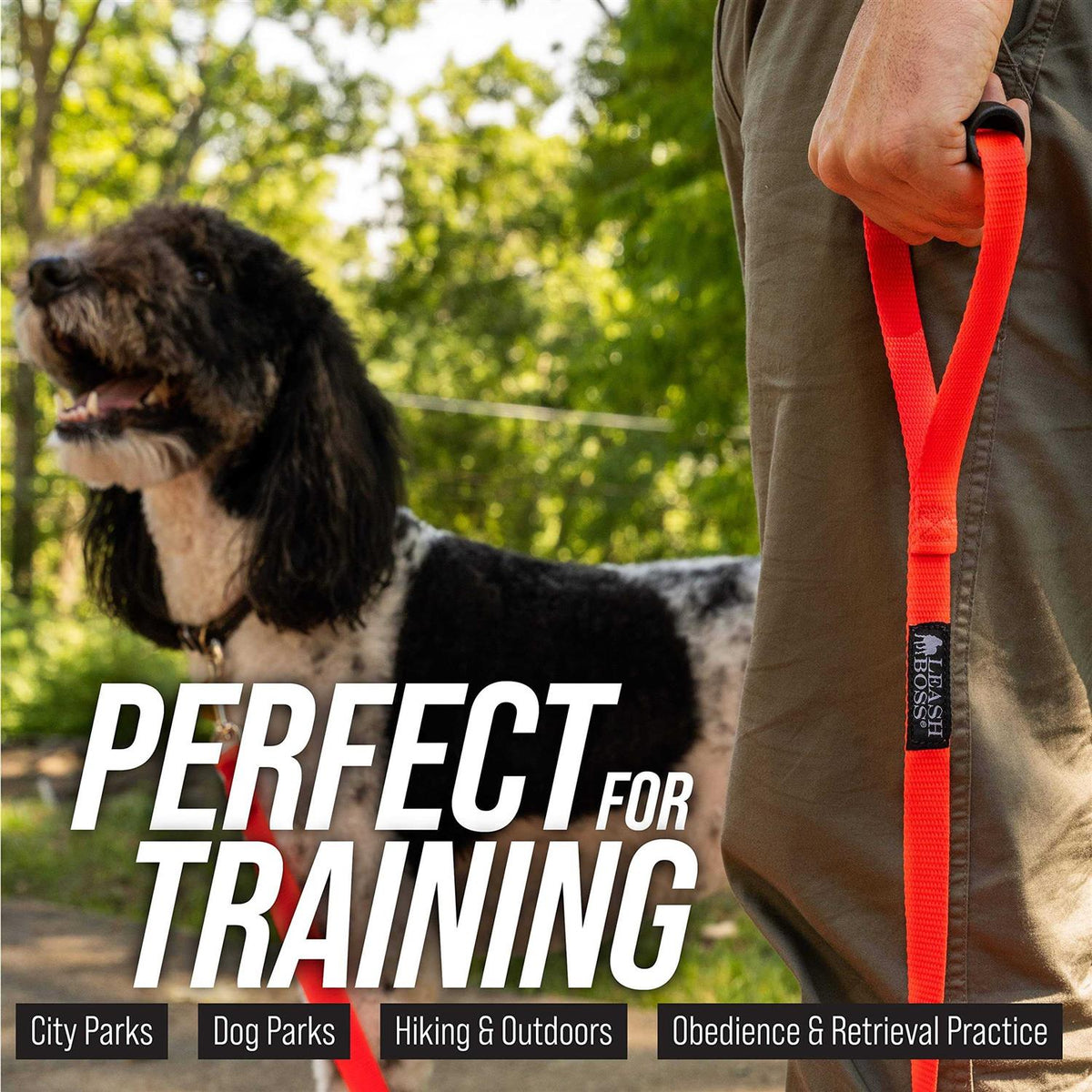 Dog Leash D586