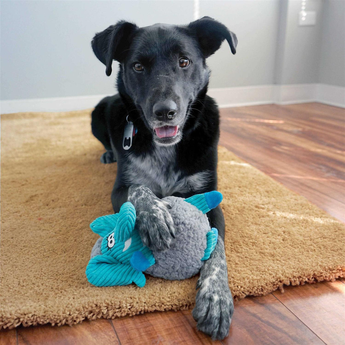 Moose Dog Toy B6964