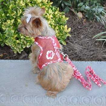 Cool Mesh Dog Harness with Leash I516861