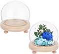 2 Sets Round Glass Display Dome with Wood Base V117854