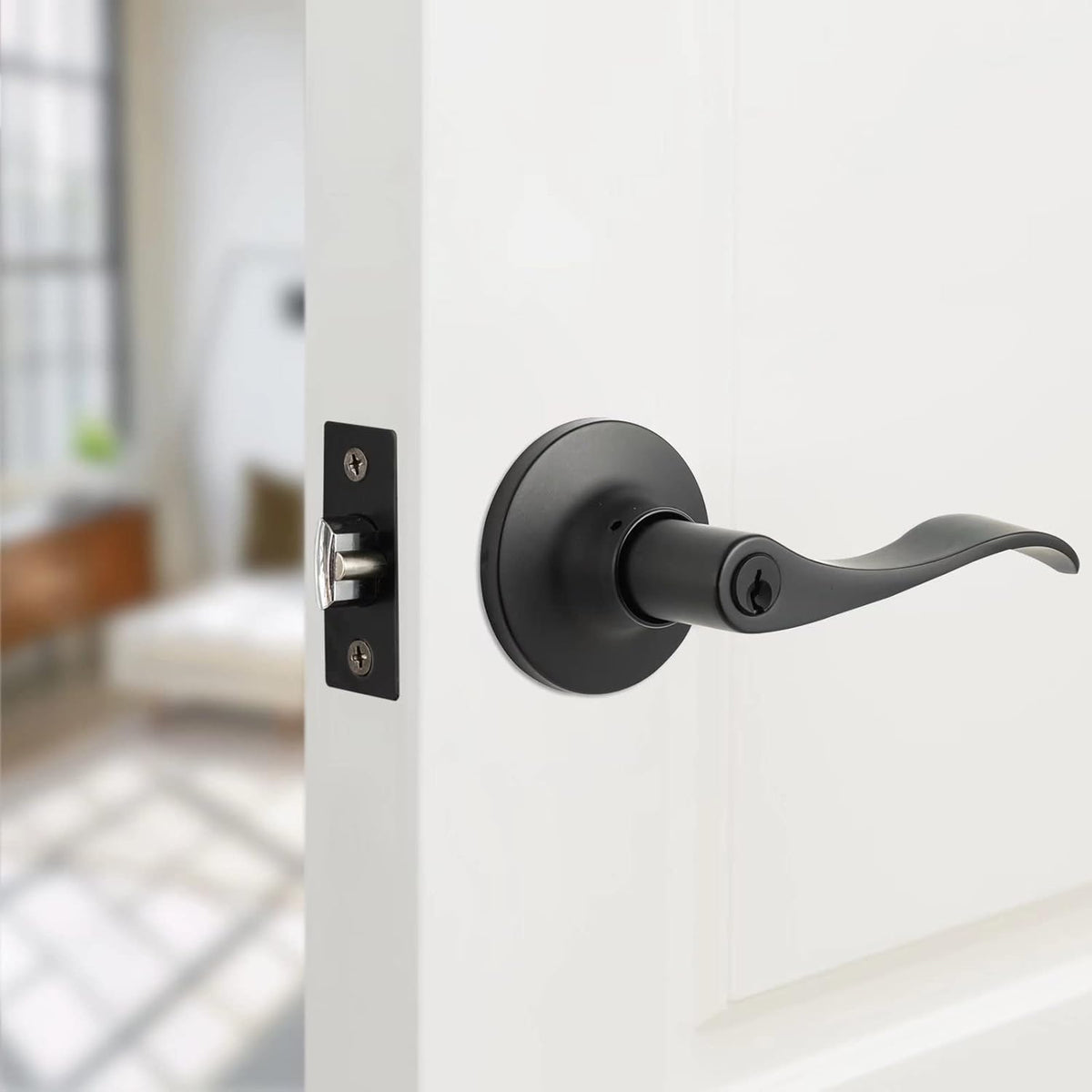 2 Pack Oil-Rubbed Bronze Front Door Handle with Lock and Key Entry Lockset P639810