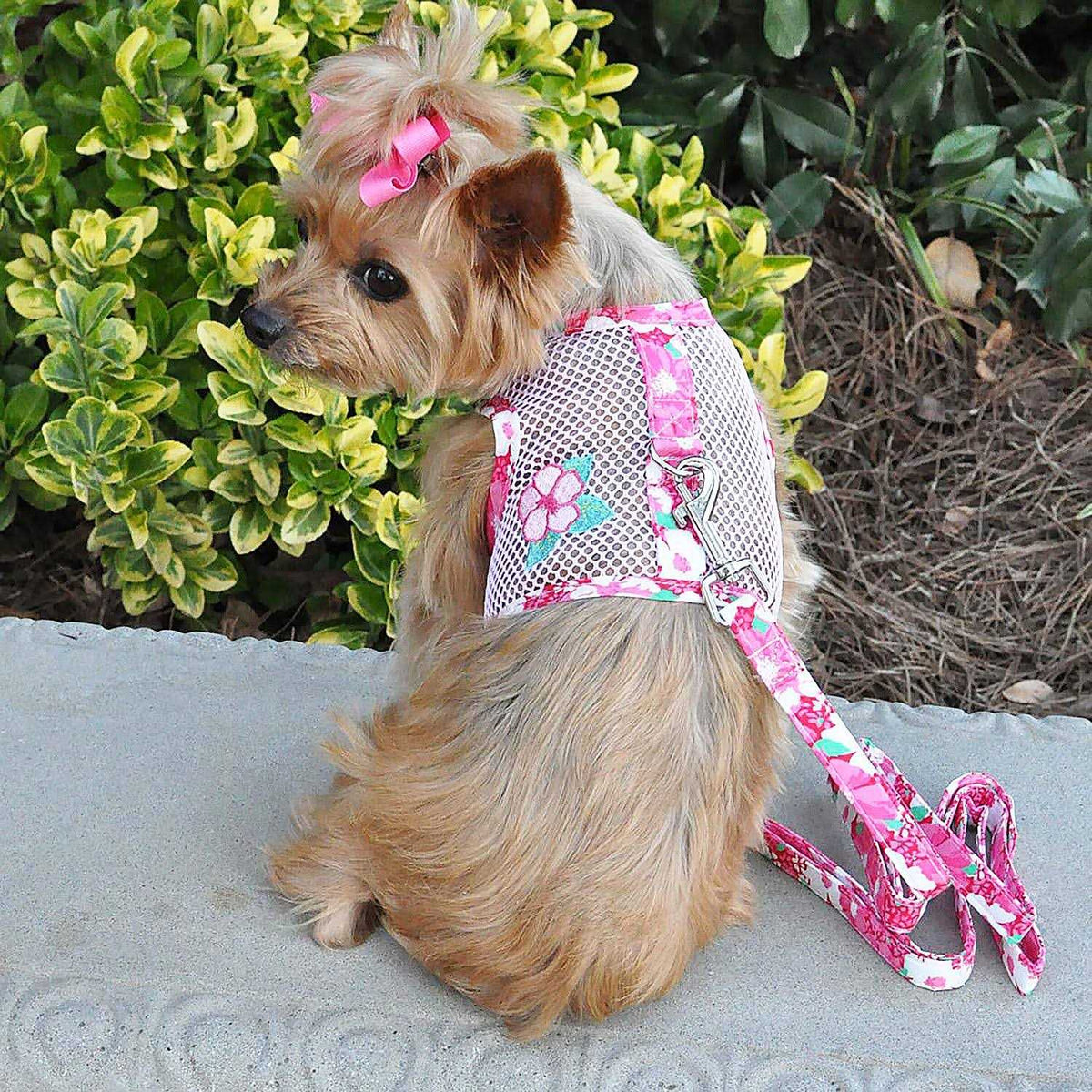Cool Mesh Dog Harness with Leash I516861